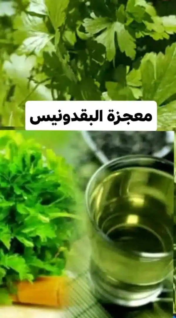 Image from معلومات طبيةصحيه تطوير الذات💡اقتباسات.عبارات.معلومات،نصائح،قصص،قرآن.رسائل.نكت.إذاعة.طبخ.دينيه: فوائد ....البقدونس.....👇 استخدم البقدونس منذ مئات السنين فقد كان الف...