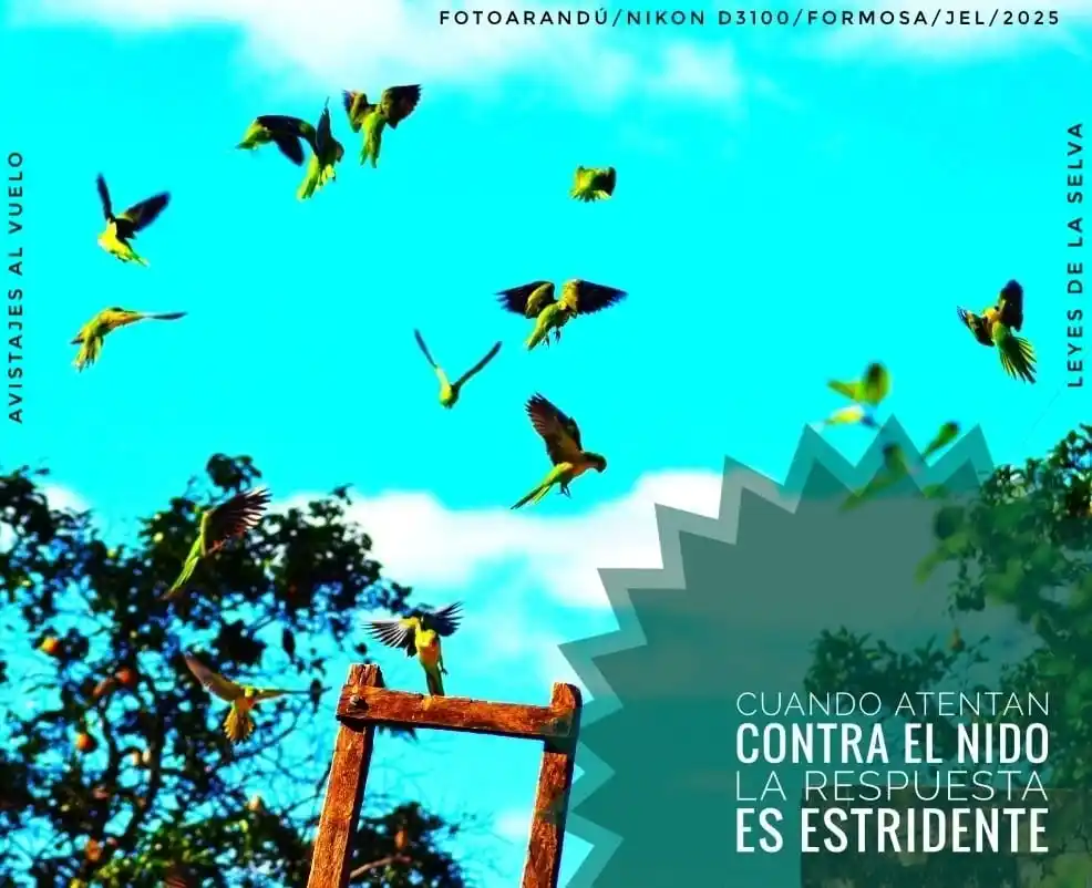 Image from RELATOS☕🧉RESEÑAS: `FOTOARANDÚ + EFEMERIDES DE RESISTENCIAS.`✍🏼🧉  _"*Muy buenos días! 2...