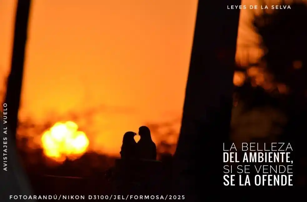 Image from RELATOS☕🧉RESEÑAS: `FOTOARANDÚ + EFEMERIDES FUNDAMENTALES.`✍🏼🧉  [ `5 DE JUNIO`] _*"Muy ...