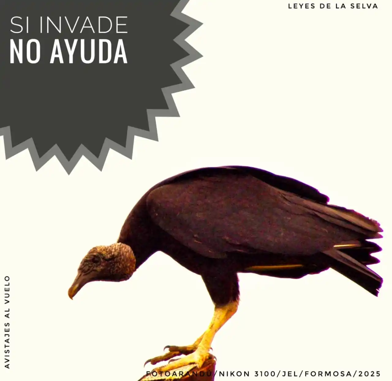 Image from RELATOS☕🧉RESEÑAS: `FOTOARANDÚ + EFEMERIDES FUNDAMENTALES.`✍🏼🧉  [ `6 DE JUNIO`] _"*Muy ...