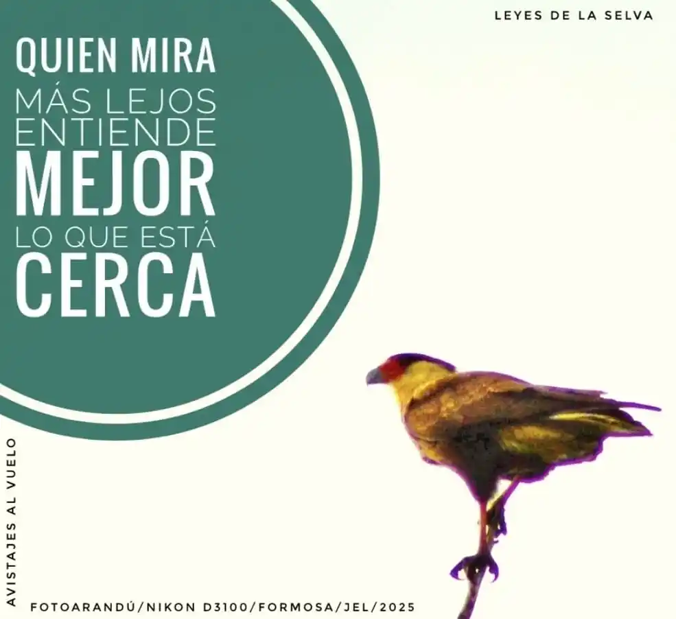 Image from RELATOS☕🧉RESEÑAS: `FOTOARANDÚ + EFEMERIDES + PALMAR.`🌴✍🏼🎥 _"*Muy buenos días! 30 de ...