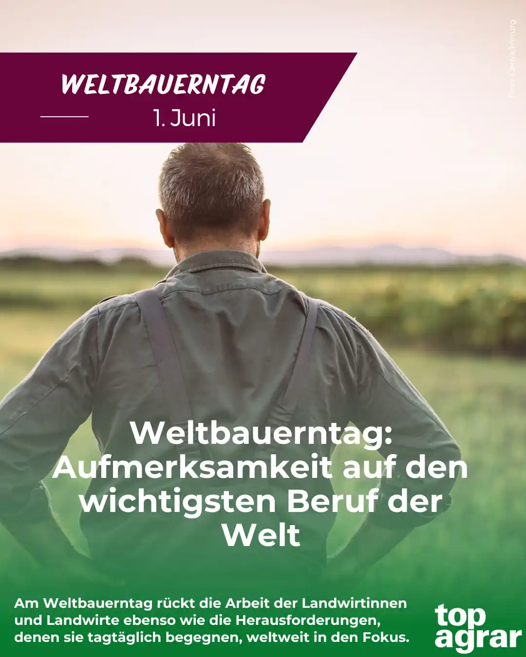 Image from top agrar: 👨🌾👩🌾Heute ist Weltbauerntag! 👉Der Weltbauerntag findet jedes J...
