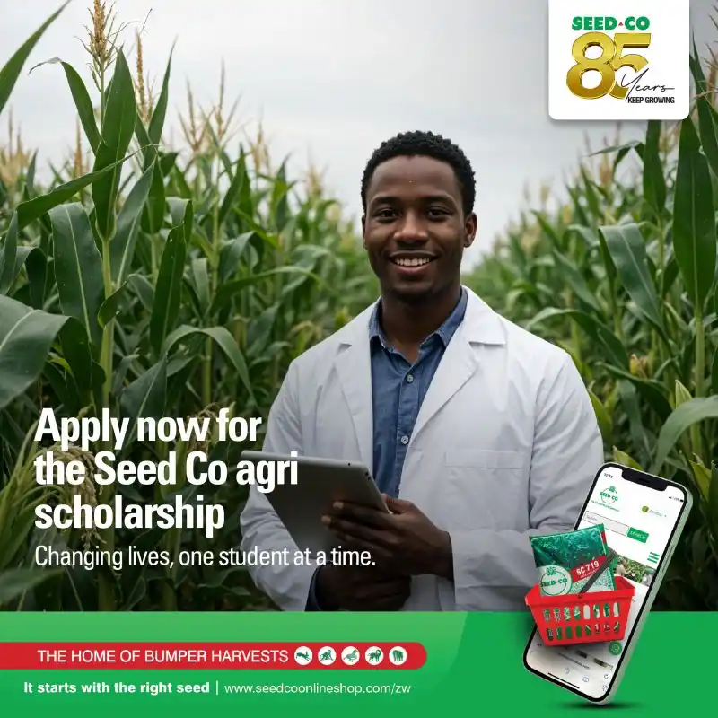Image from ApplyNOW Zimbabwe: SCHOLARSHIP PROGRAMME 📌 The Seed Co’s 85th Anniversary Scholarship Pr...