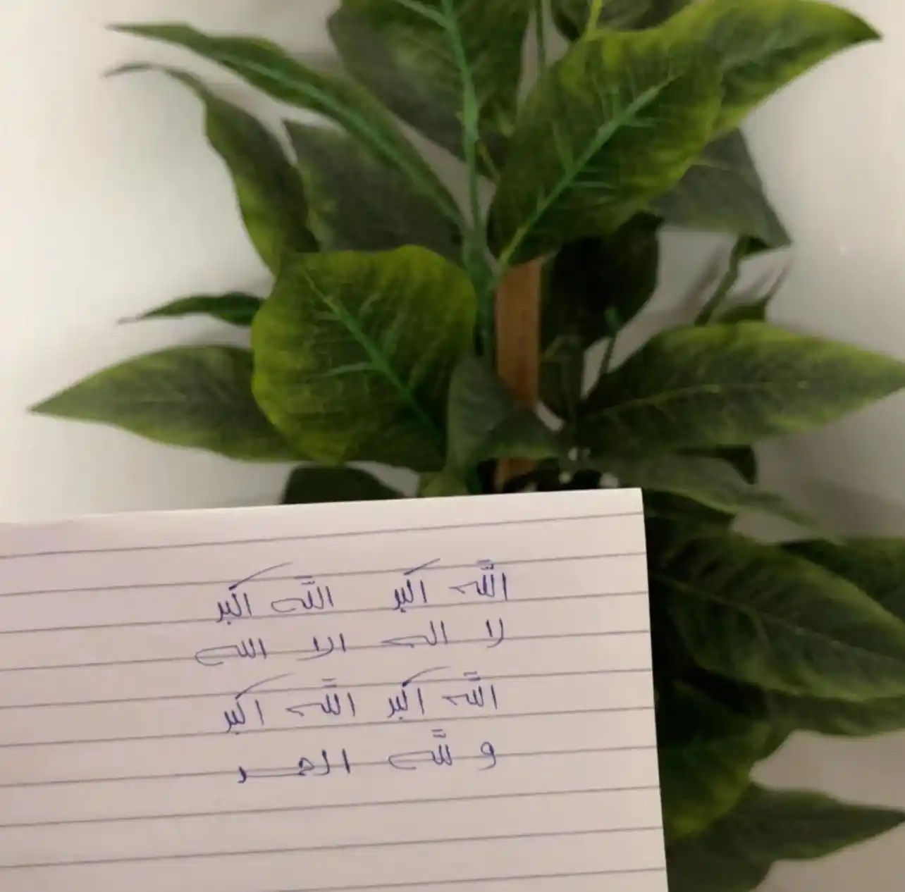 •حالات أسْتاذَة مَرْيَـــم📚 post