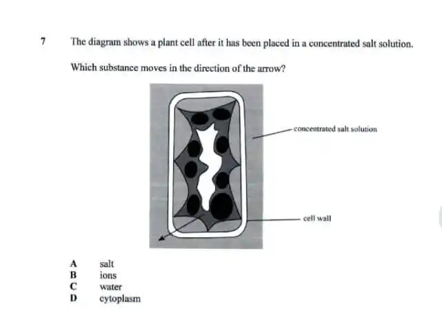 Combined Science Exam tips post
