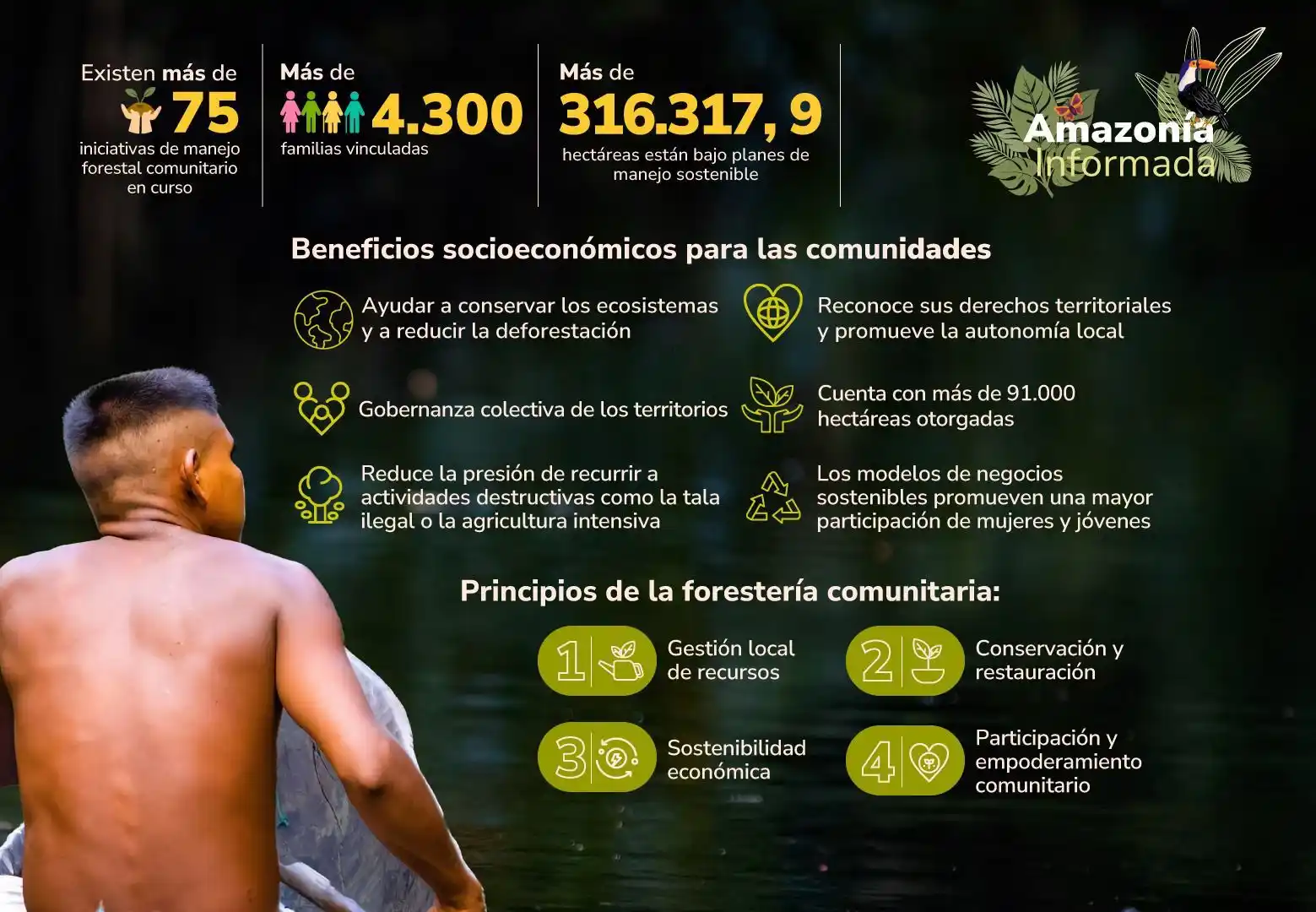 AMAZONIA INFORMADA 🐊 🌿 🦥 post