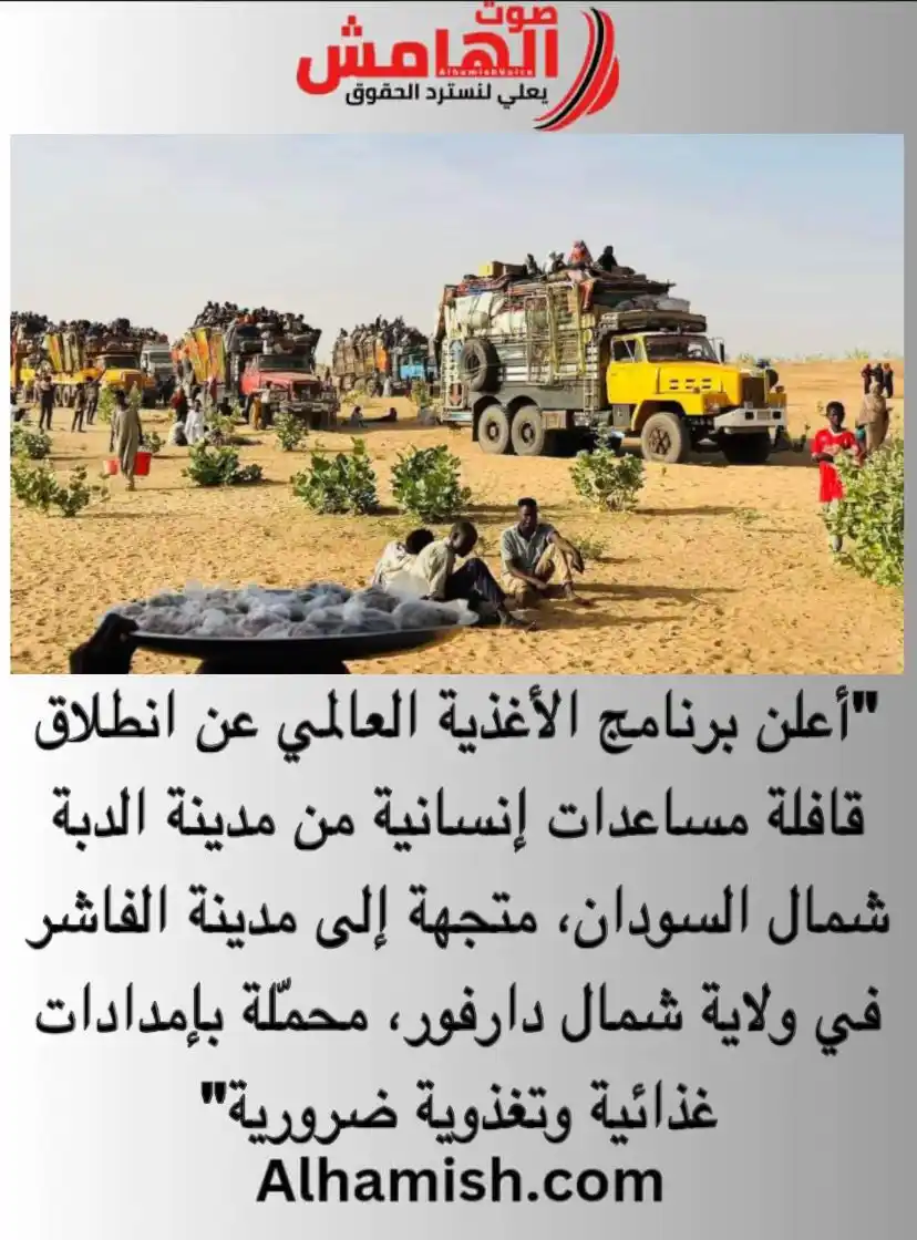 صوت الهامش post