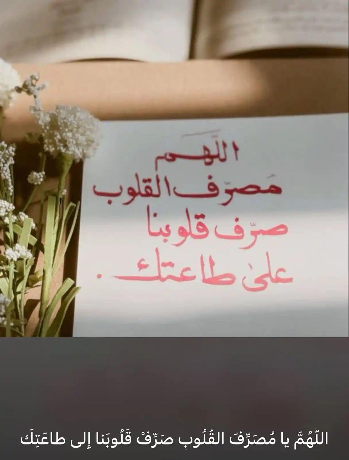 •حالات أسْتاذَة مَرْيَـــم📚 post