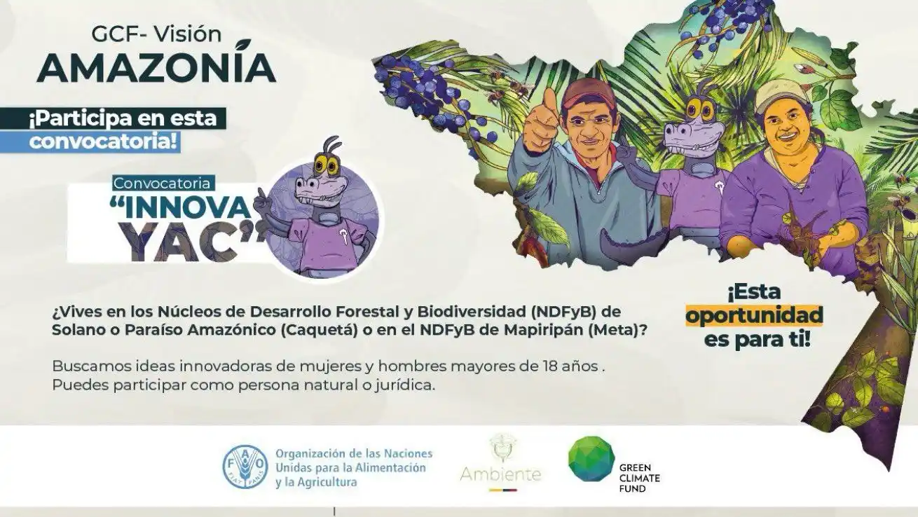 AMAZONIA INFORMADA 🐊 🌿 🦥 post