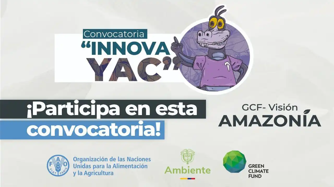 Image from AMAZONIA INFORMADA 🐊 🌿 🦥: 🔈¡Atención, atención! 🗞️ Si eres mayor de 18 años, vives en una de ...