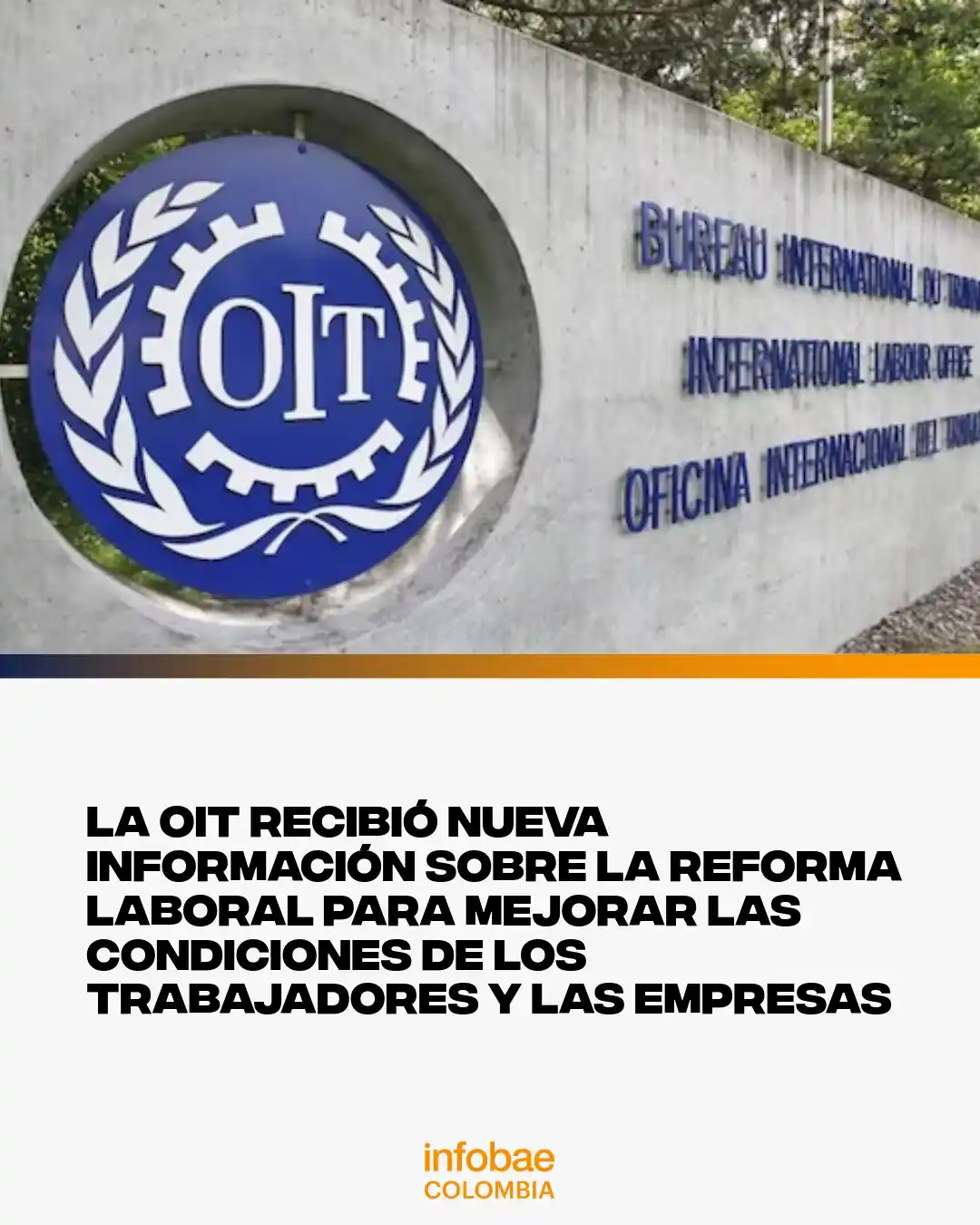 Image from Infobae Colombia: Bruce Mac Master expuso ante la OIT su preocupación por el deterioro d...