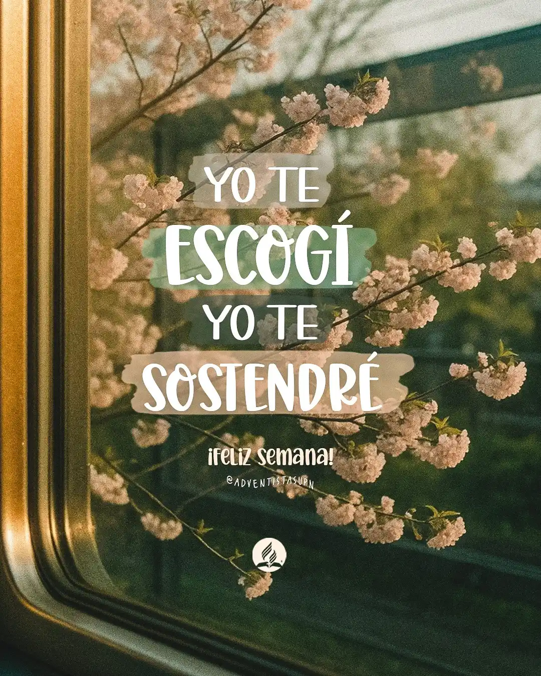 Image from Adventistas MiCOP : <a class="text-blue-500 hover:underline cursor-pointer" href="/hashtag...