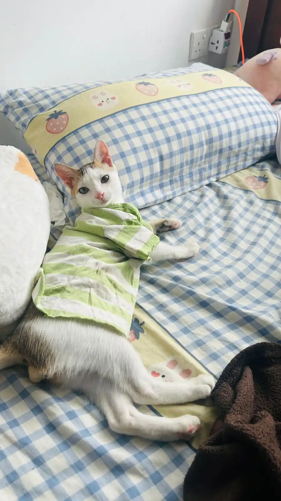 Minoli Disanayaka  post