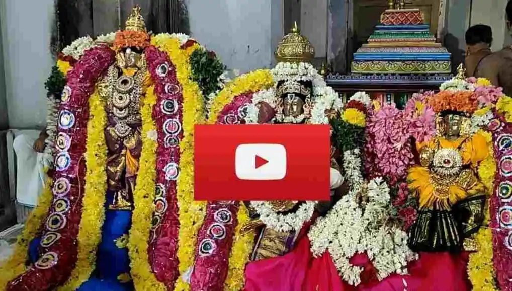 Image from The Great India News: கும்பகோணத்தில் பாணபுரீஸ்வரர் திருக்கோயிலில் வைகாசி விசாக திருக்கல்யாணம...