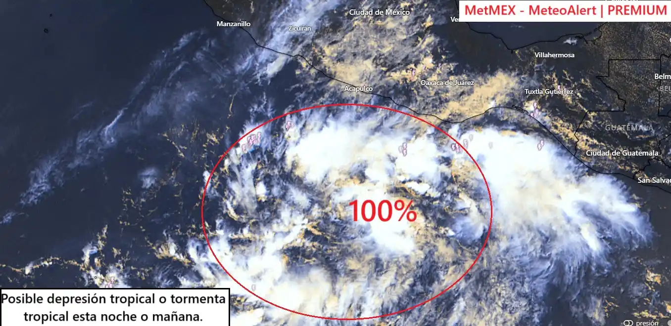 MetMEX post