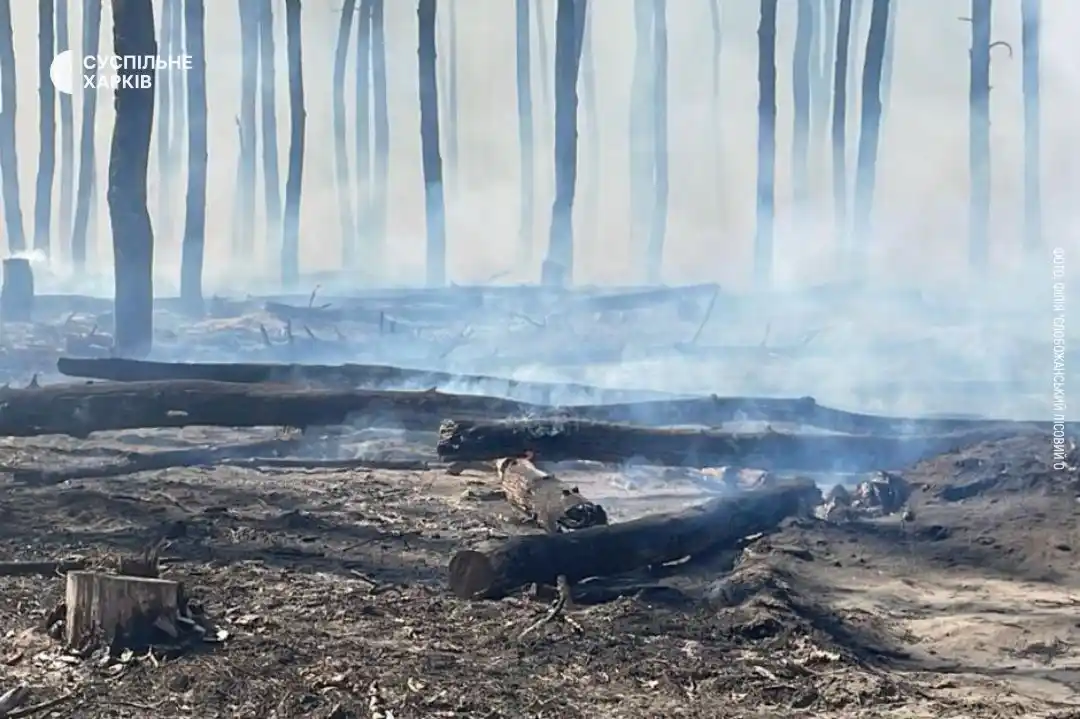 Image from Суспільне Харків: На Ізюмщині горить ліс: там сьогодні сталося влучання реактивної артил...