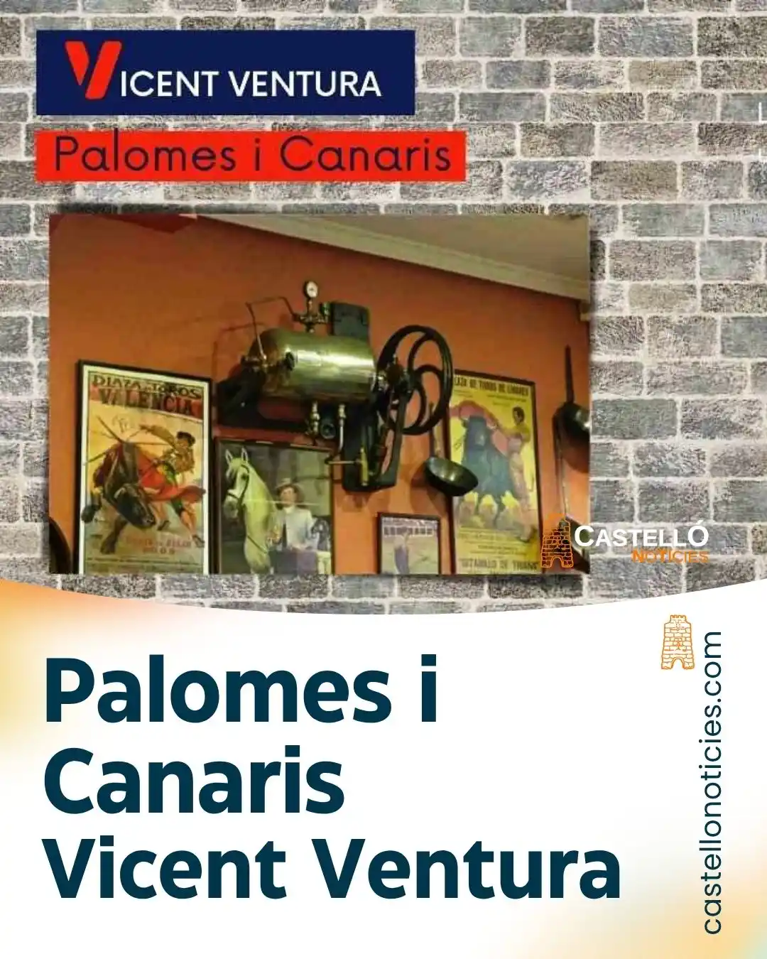 Image from InfoCastelló: Palomes i Canaris Vicent Ventura https://castellonoticies.com/palomes-...
