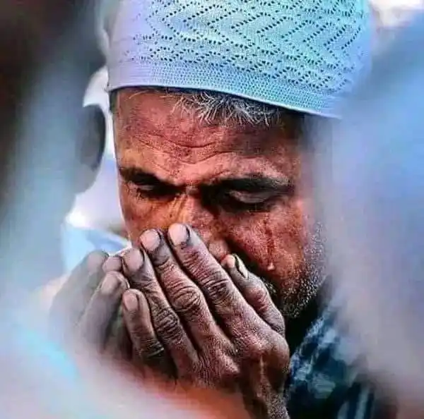 ☘️🌾🌿 روانشناسی 🌿🌾☘️ post