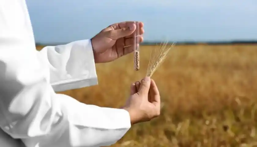 Image from Food Industry Connect by FW Africa: Researchers from The University of Queensland (UQ), the French Nationa...