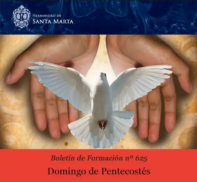 Hermandad de Santa Marta post