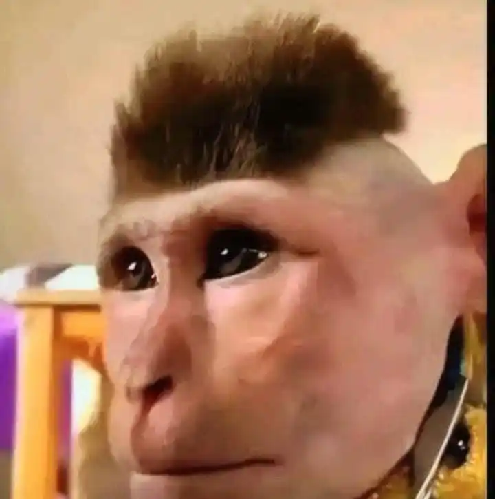 :‏PÖV post