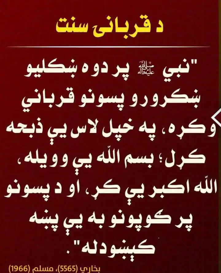 Image from الذي علم بالقلم: <a class="text-blue-500 hover:underline cursor-pointer" href="/hashtag...