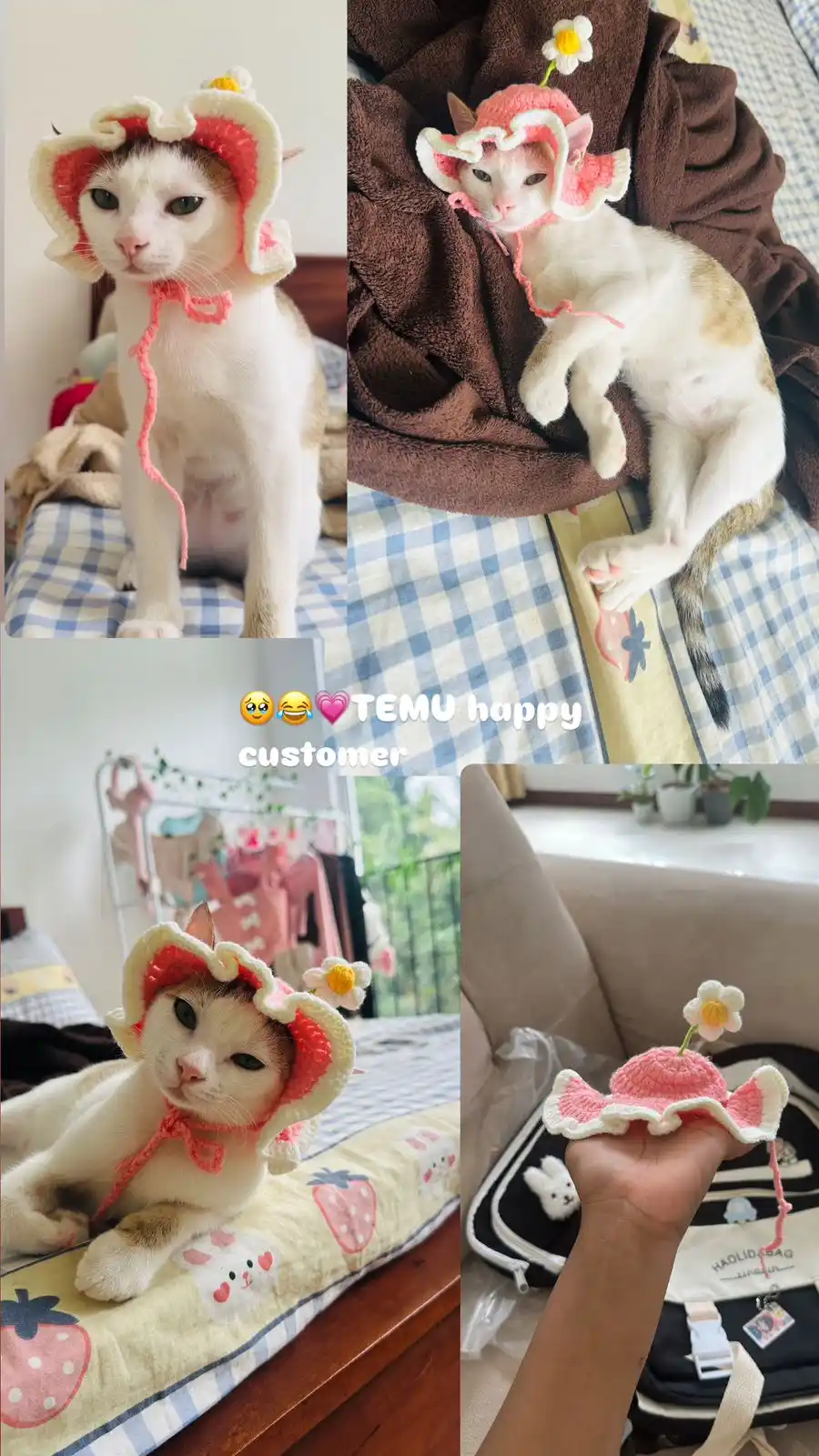 Minoli Disanayaka  post