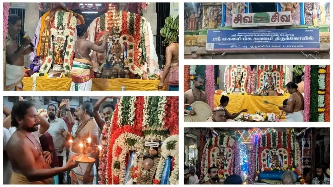 Image from The Great India News: திருவிடைமருதூரில் மகாலிங்கசுவாமி கோயிலில் வைகாசி திருக்கல்யாணம் விமரிச...