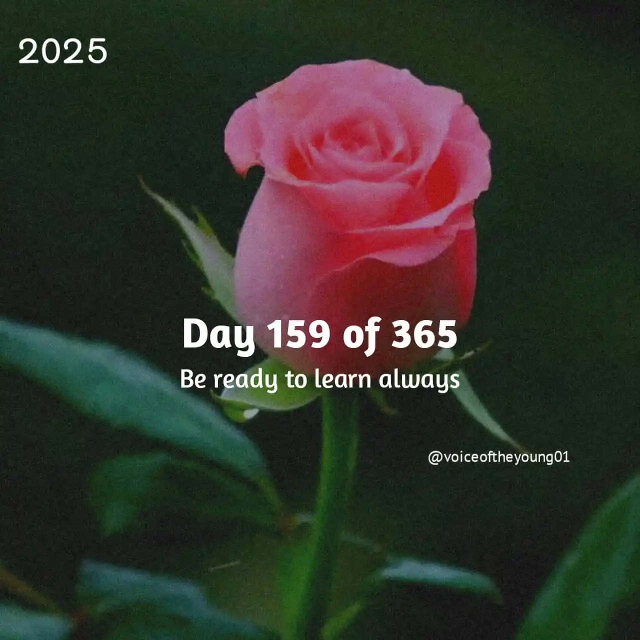Image from VOICEOFTHEYOUNG COMMUNITY ❤️: 💐😇💙 <a class="text-blue-500 hover:underline cursor-pointer" href="/...