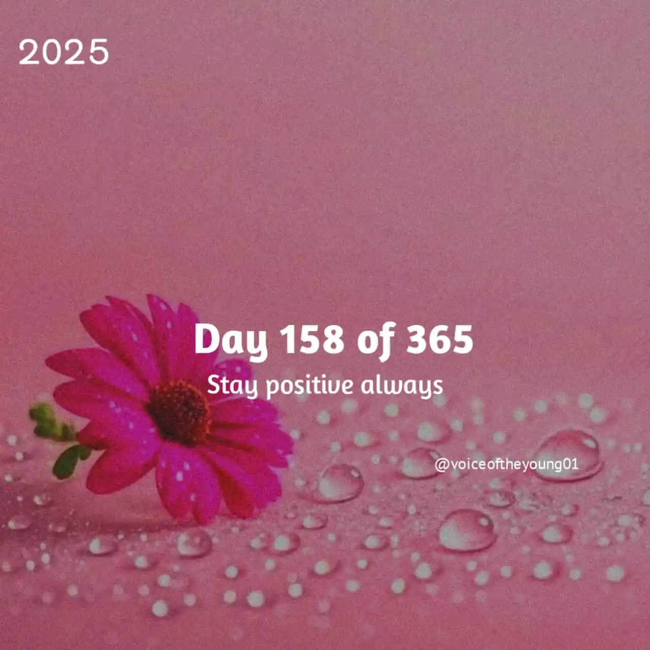 Image from VOICEOFTHEYOUNG COMMUNITY ❤️: 📌😊💐 <a class="text-blue-500 hover:underline cursor-pointer" href="/...