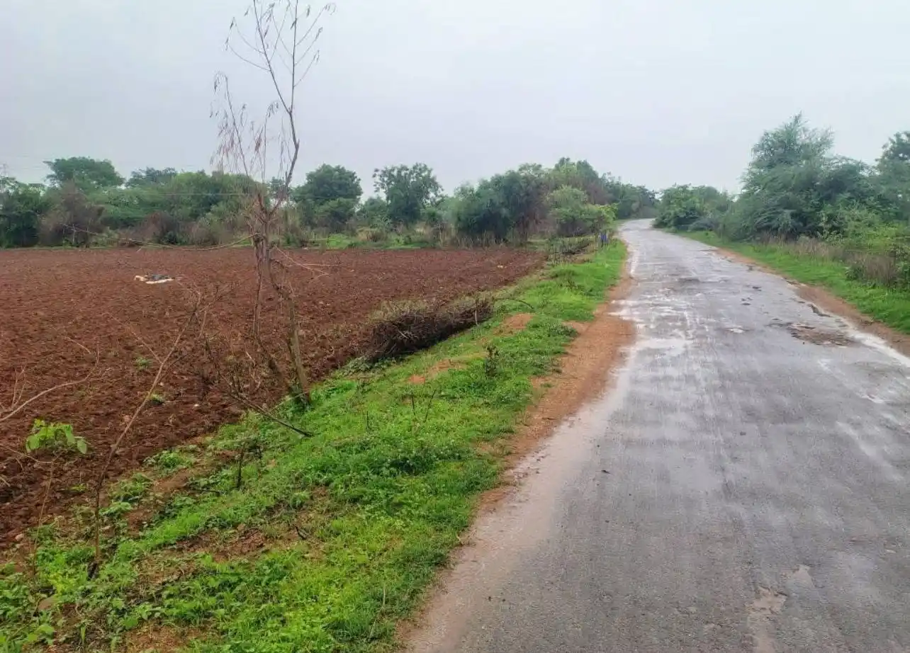 Image from BUSINESS DEALS (BUY, Hold/Build & SELL, Invest & Multiply, Promote/Collaborate): 2 Acres land for sale dakoor village andole mandal sangareddy distri...