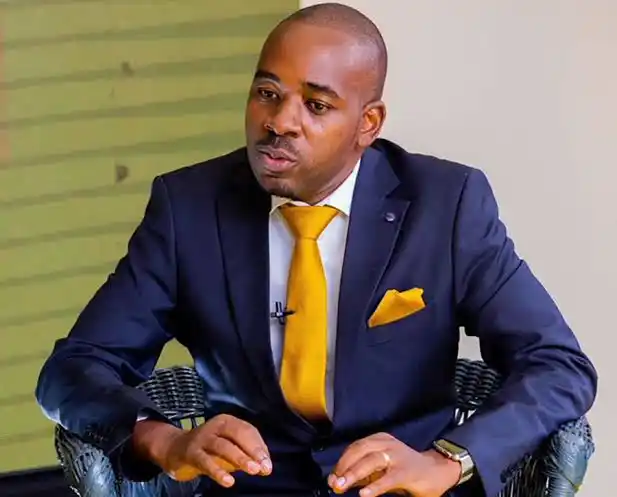 Image from ZNN News: *📰Chamisa's politics of ambiguity continues* Nelson Chamisa's recent...