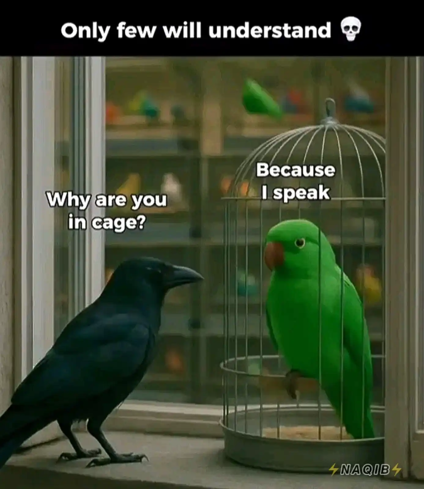 Image from CSS Dawn Editorials ✨: _Have you ever thought that_ *A Parrot 🦜 speaks other languages but ...