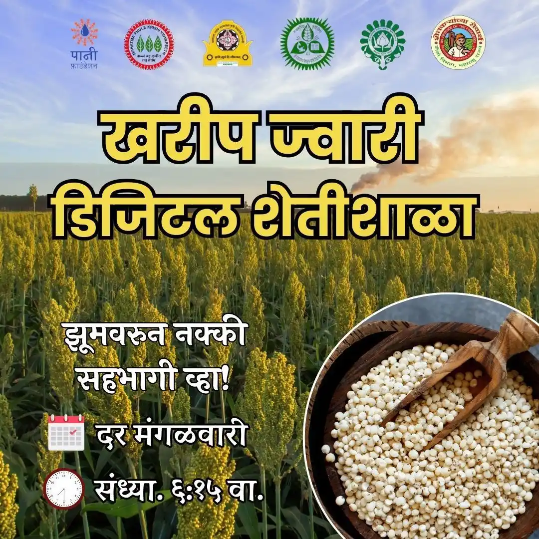 कृषी विभाग महाराष्ट्र शासन | Agriculture Department GOM post