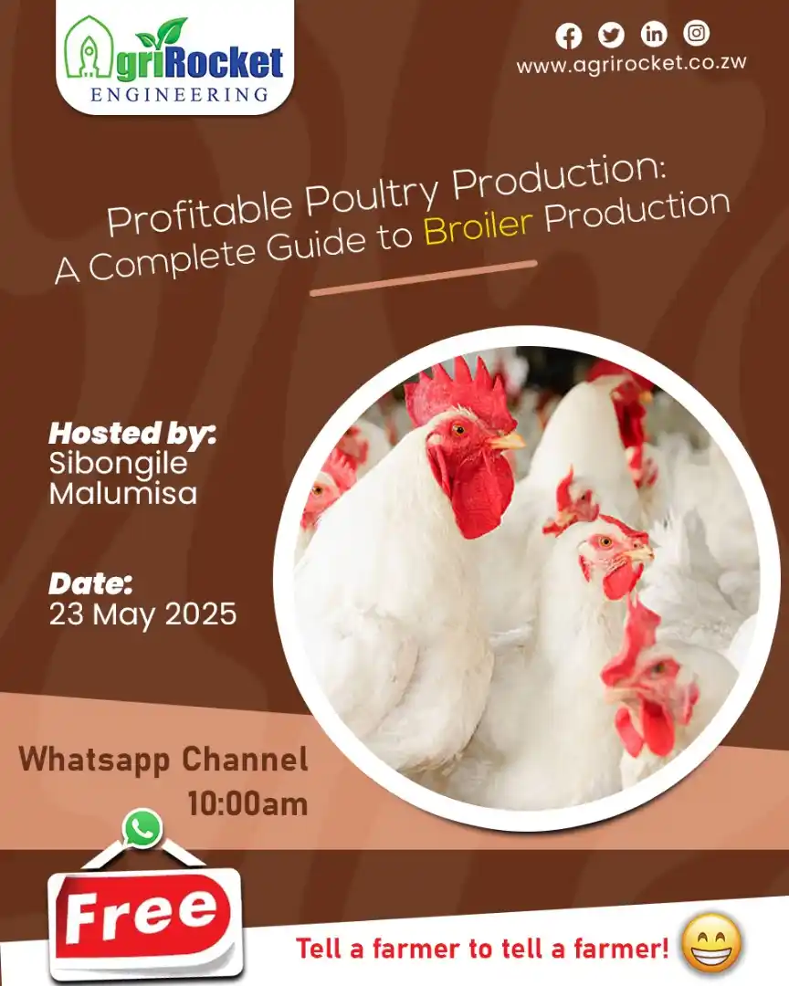 Image from Agrirocket Engineering Channel: Join us this Friday for a FREE training seminar on *Broiler Farming - ...
