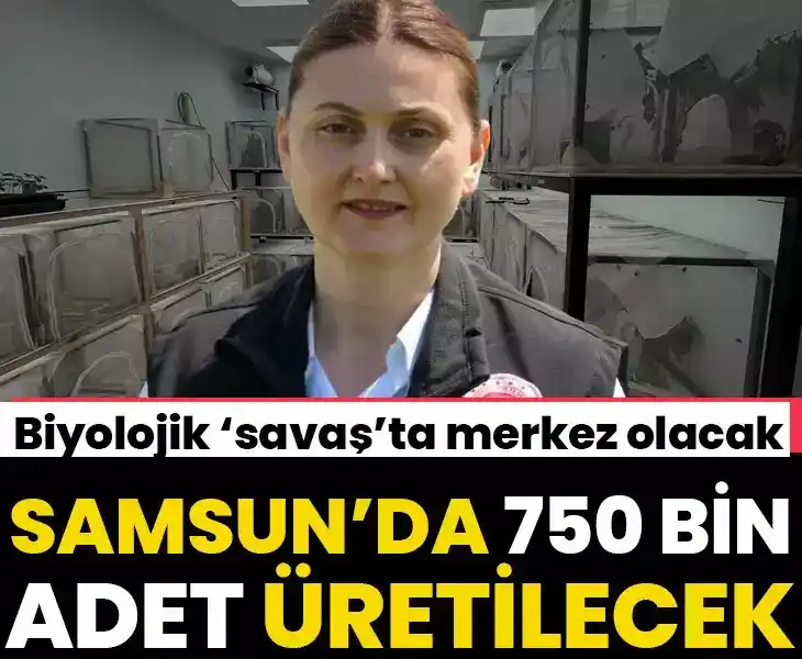 Image from gazetevatancom: KAHVERENGİ KOKARCA İLE ETKİN MÜCADELE EDECEK Samsun'da 750 bin adet ü...