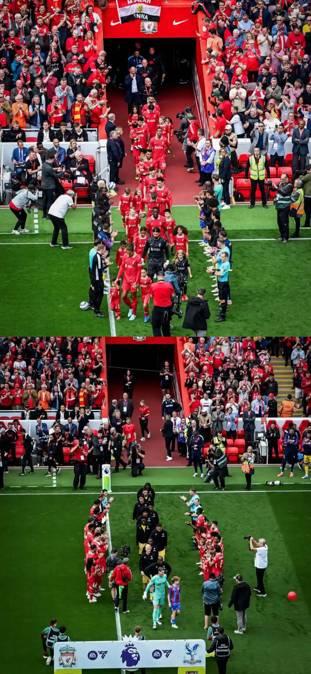 Image from ⚽beιη ѕρσятѕ ηєωѕ⚽: 🚨🚨 — معلومة: المباراة الأخيرة لفريقي كريستال بالاس وليفربول هذا الم...