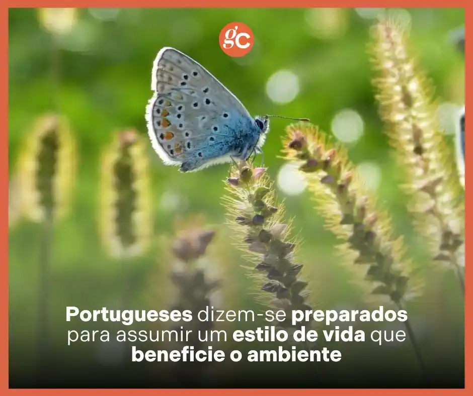 Image from Grande Consumo: 📢 *Mais de 4,8 milhões de portugueses prontos para um estilo de vida ...