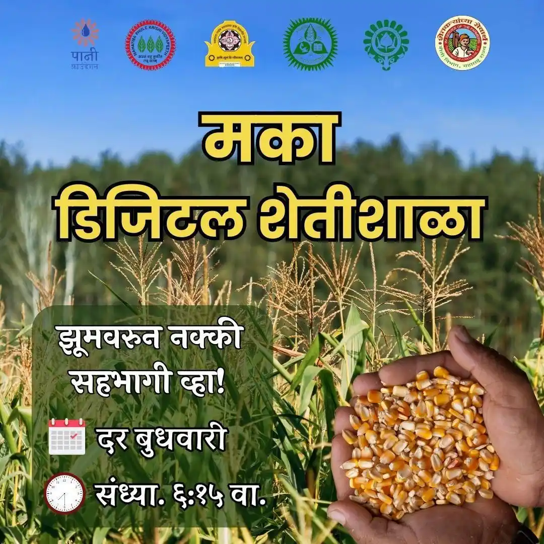 कृषी विभाग महाराष्ट्र शासन | Agriculture Department GOM post