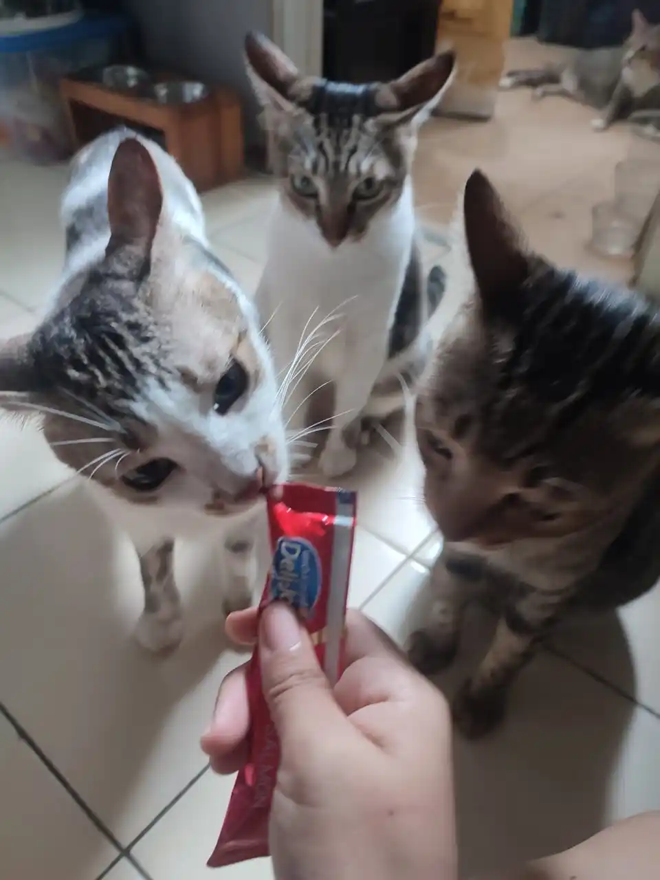 Image from Bub N Gang,,: Nande smw mawuu disgok krimidut,, ヽ(`д´;)/ syp lg yg bs bub prrcy...