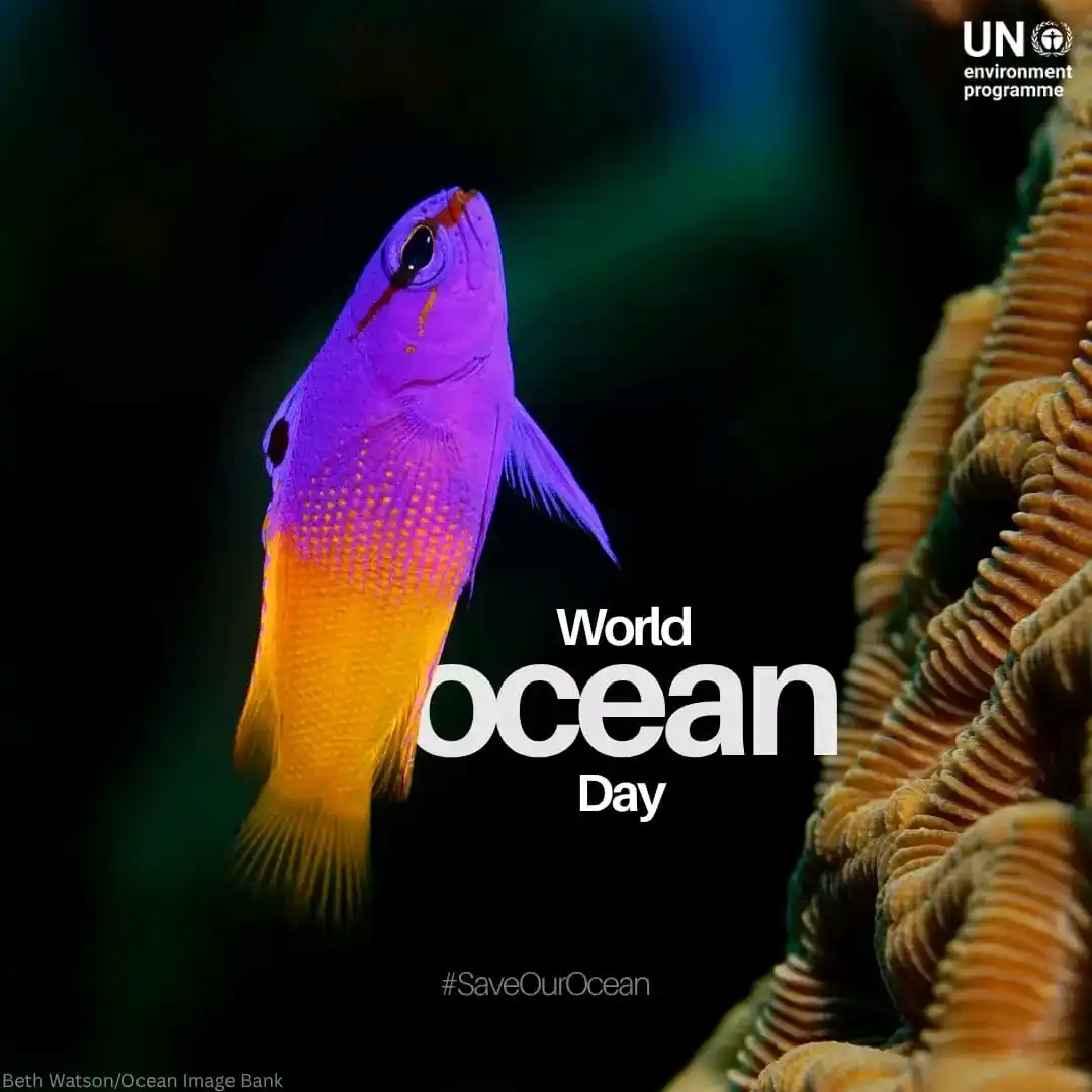Image from District Collector Wayanad: The ocean… 🌊💙 sustains life, regulates climate, nurtures biodiversit...