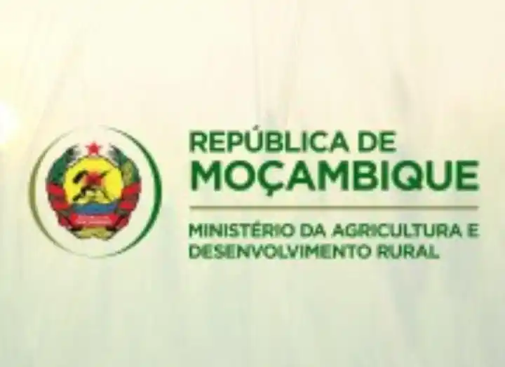 Image from News Online Moz Condutores Lda: 5 Vagas Disponíveis no Ministério da Agricultura e Desenvolvimento Rur...