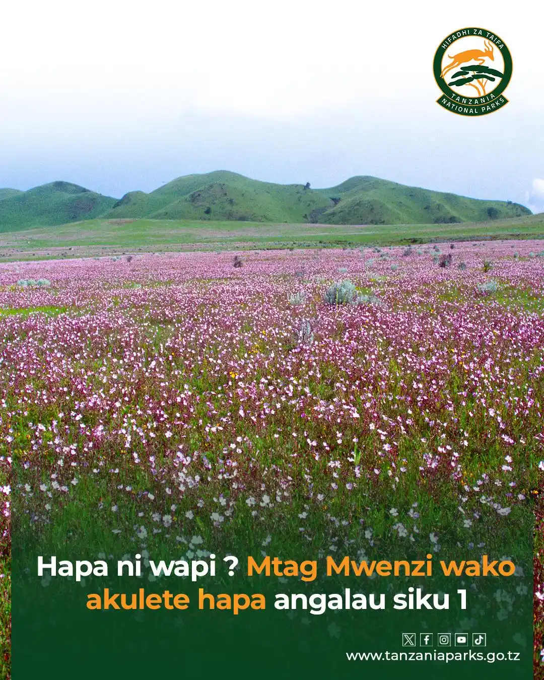 Image from Tanzania National Parks: 📌Bustani ya Mungu 🪻 👉Hifadhi ya Taifa Kitulo ni mahali ambapo anga...