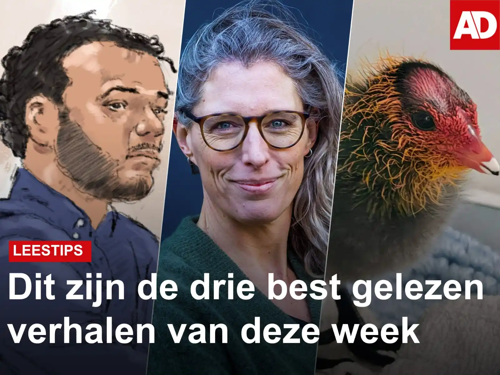 Image from AD Utrecht: Deze verhalen van afgelopen week uit de regio Utrecht mag je niet gemi...