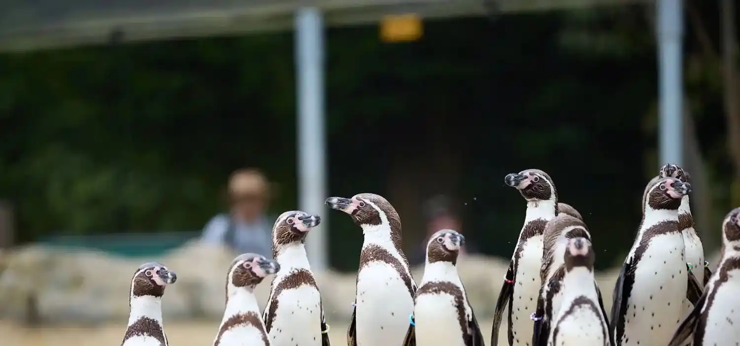 Leeds Star Newspaper  post