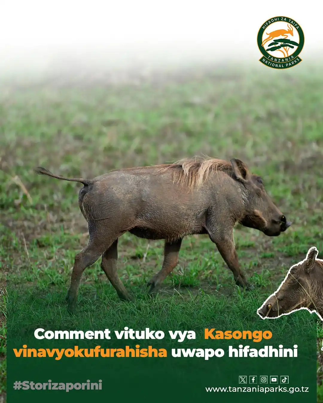 Tanzania National Parks post