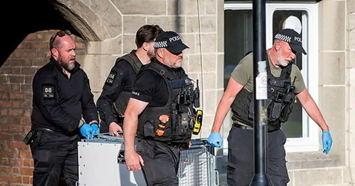 Image from The Mirror: *WARNING GRAPHIC IMAGES: Bully rips man's ear off with his nose left '...