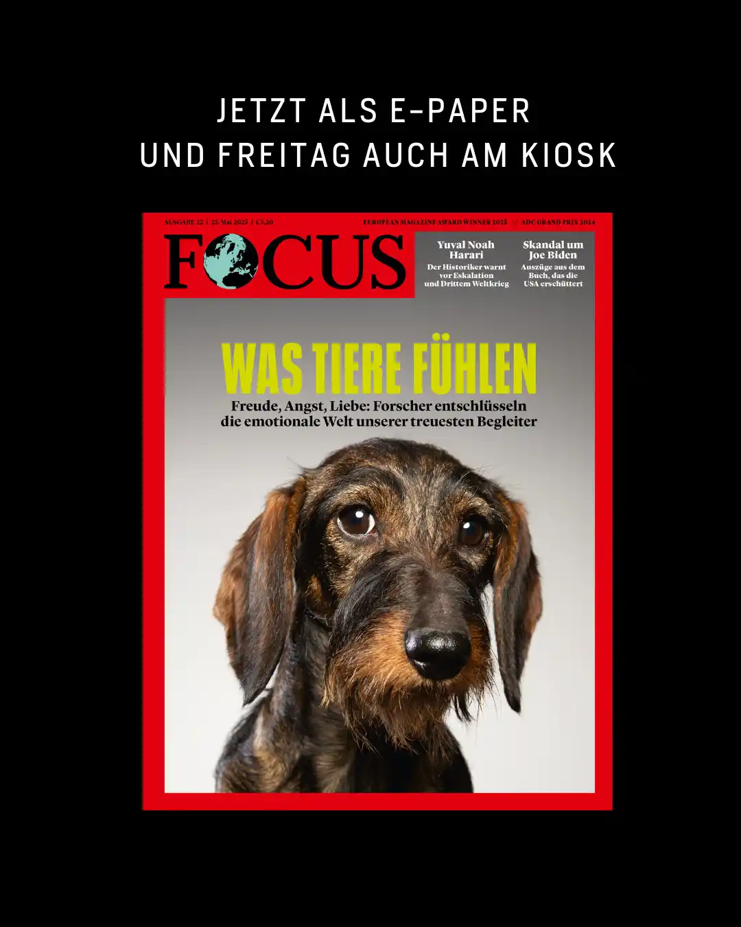 Image from FOCUS Magazin: Hasst mich meine Katze?🐈 Ist mein Hund depressiv?🐕🦺 Und was empfin...