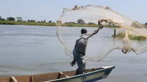 Image from Reality 24: *Le Cameroun a remplacé l'an dernier le Burkina Faso dans la liste des...