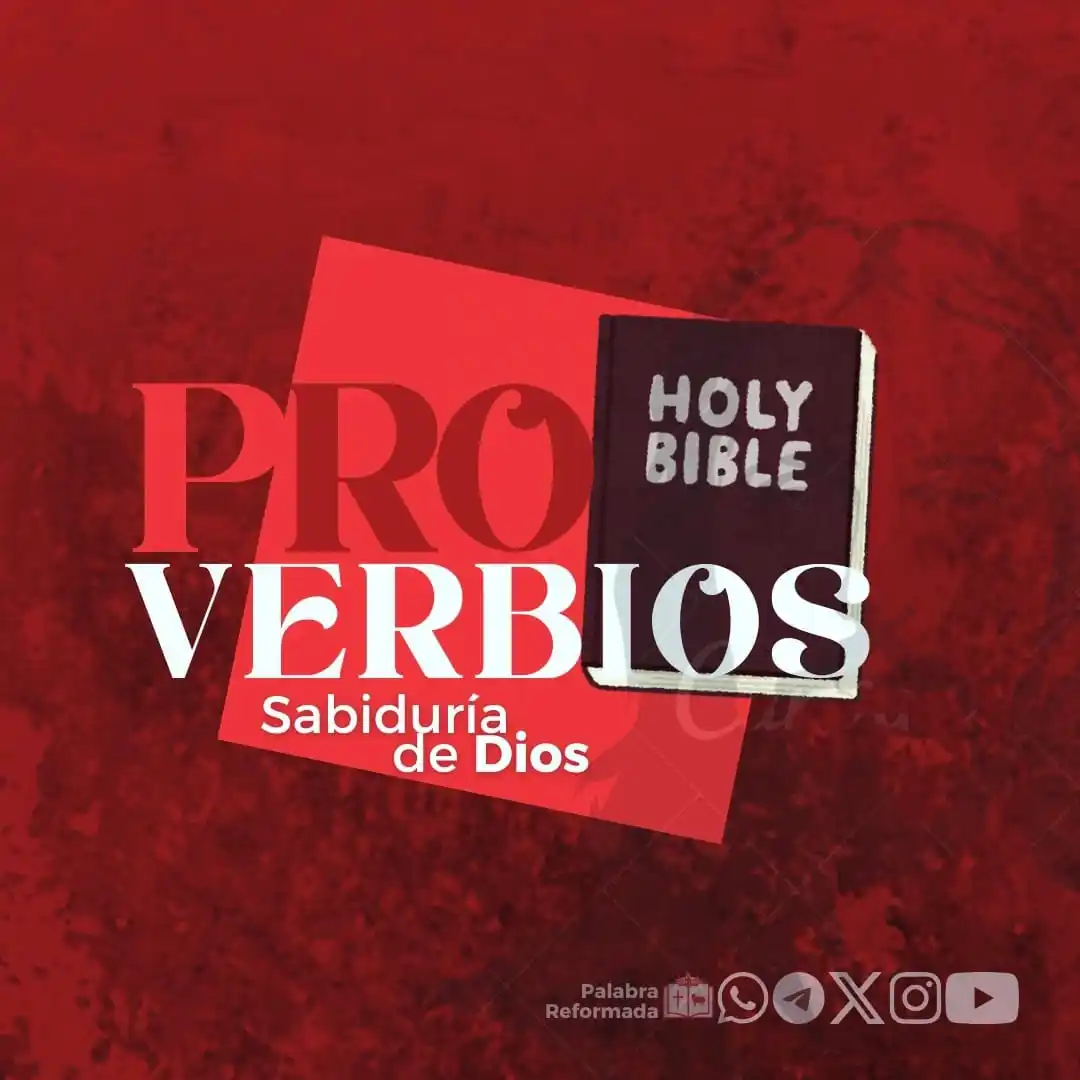 Image from πππππππ πππ
ππππππ: *Proverbios 26:4-5* _Nunca respondas al necio de acuerdo con su neceda...